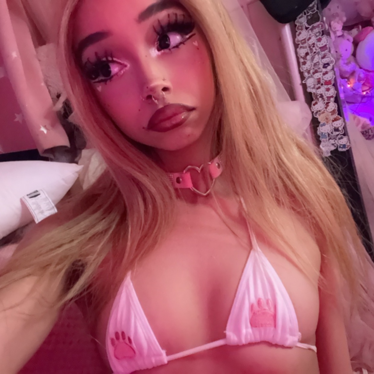 Zoweybunny cover